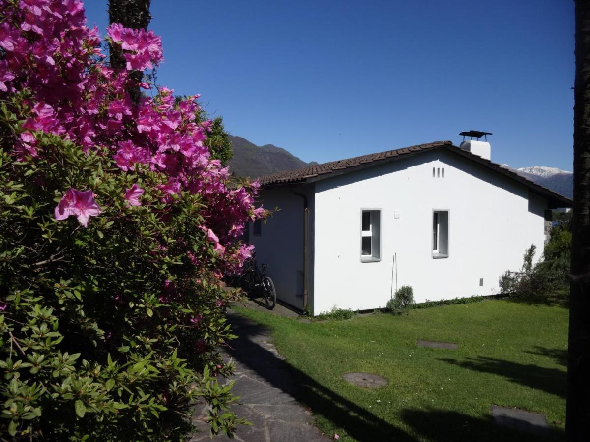 Residenza Paradiso Di Vacanze Minusio Eksteriør bilde