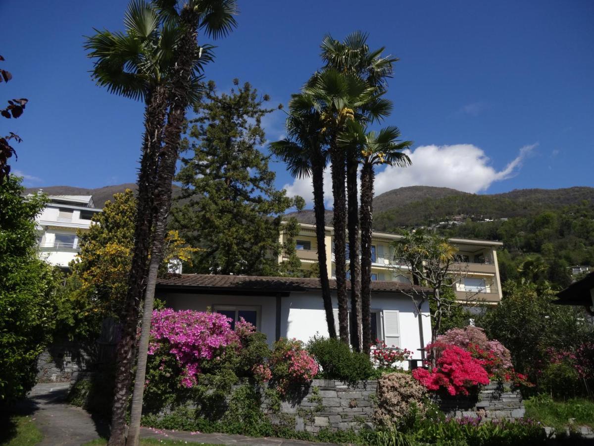 Residenza Paradiso Di Vacanze Minusio Eksteriør bilde