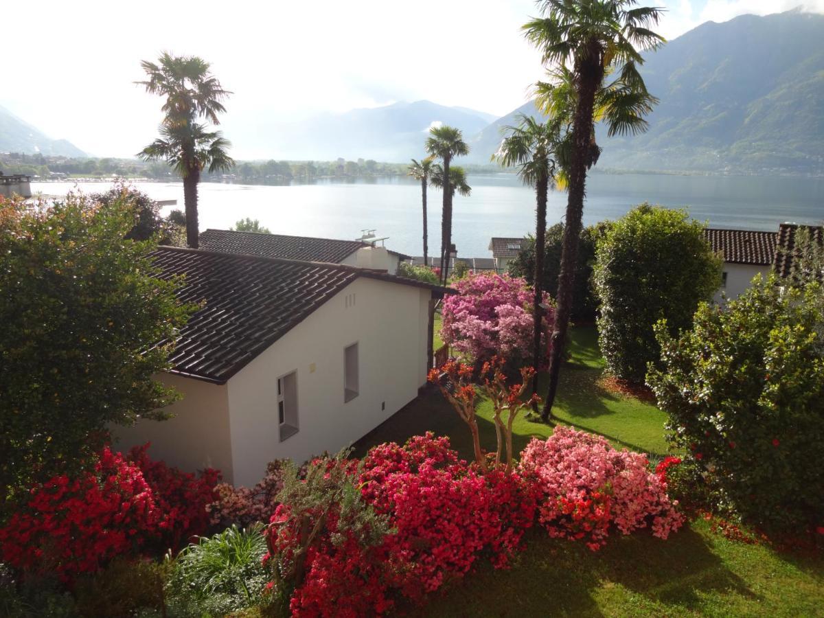 Residenza Paradiso Di Vacanze Minusio Eksteriør bilde