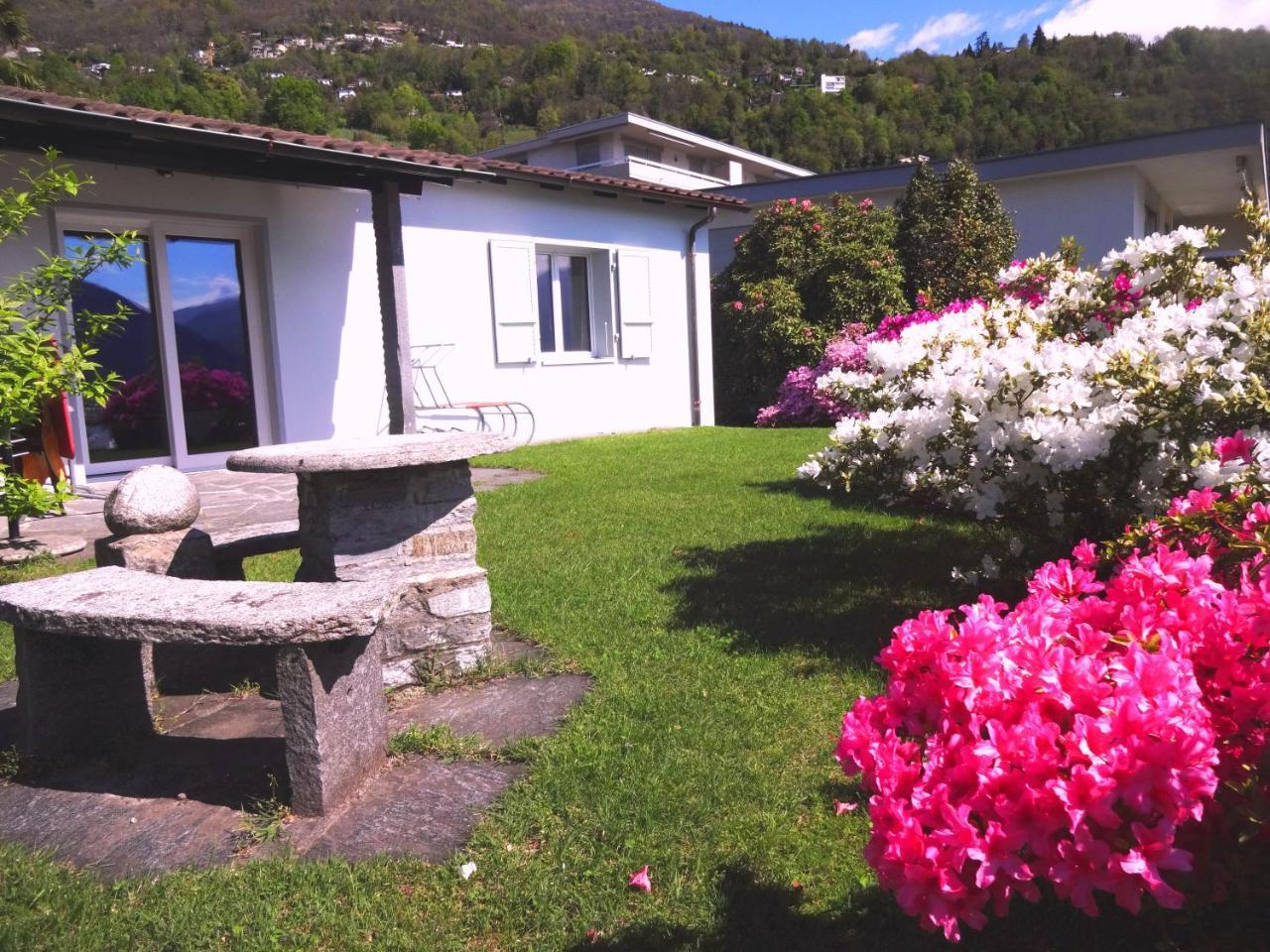 Residenza Paradiso Di Vacanze Minusio Eksteriør bilde